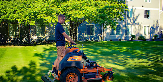Lawn Mowing