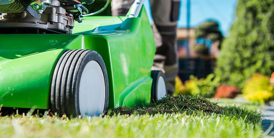 Power Raking Services