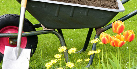 Gardening Services
