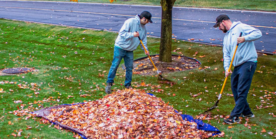 Leaf Removal