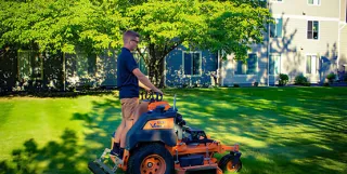 Lawn Mowing