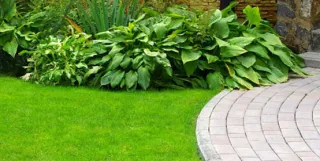 Landscaping Services