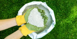 Lawn Fertilization